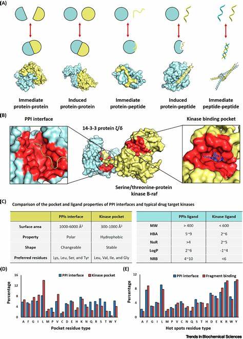 Toxic Proteins for Drug Discovery