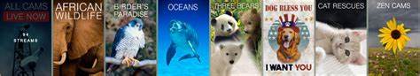Explore LiveCams