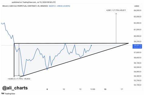 XRP, Shiba Inu, Solana, Cardano New Mega Bull Cycle On as Whales Buy Up 71,000 BTC In A Week - ZyCrypto
