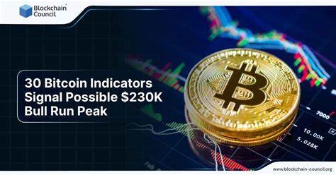 30 Bitcoin price top indicators hint at $230K bull market peak 