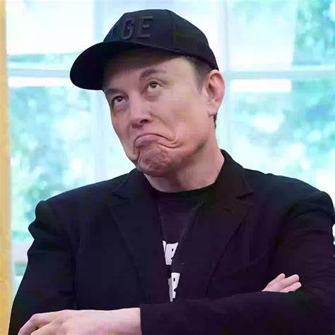 Elon Musk shared my photos without credit, and then suspended my account