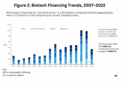 Investors insist halted biotech IPOs will return in 2025