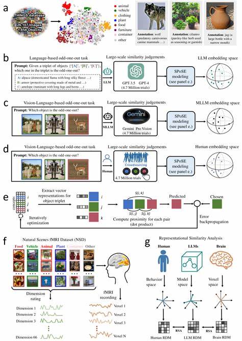 Human-like object concept representations emerge naturally in multimodal LLMs