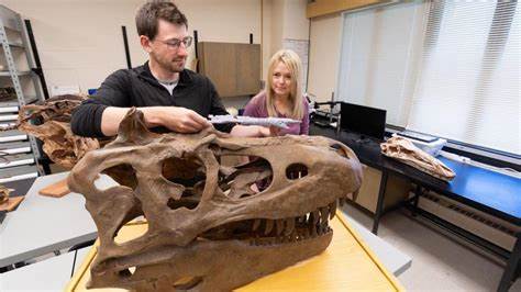 New species of dinosaur discovered that 'rewrites' T.rex family tree
