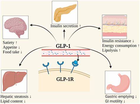 New papers address mystery why GLP-1 agonists AND antagonists cause weight loss
