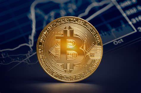 History Suggests Bitcoin Will Be a Better Long-Term Investment Than Little-Known Meme Coins - The Motley Fool