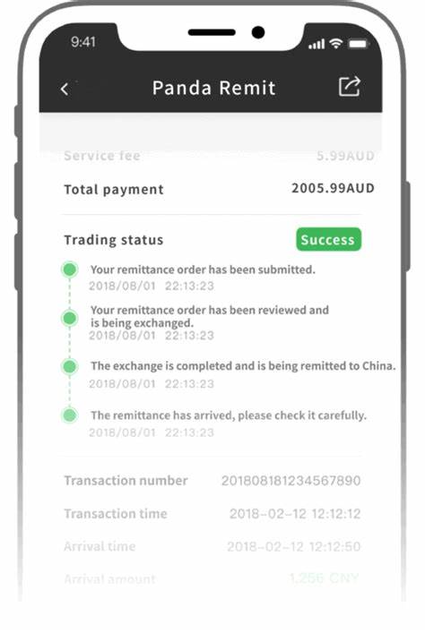 Panda Remit partners with dLocal for African payments push