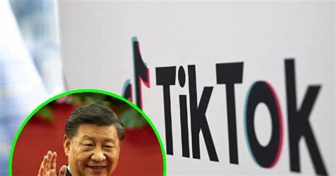 EU hit TikTok with a massive 530 million euro privacy fine