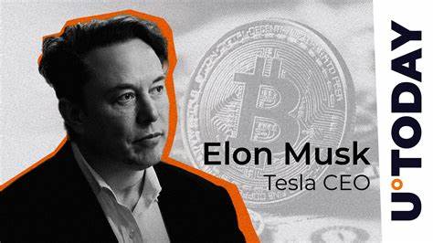 Elon Musk “Encoded Message” Means He’s Stacking Bitcoin: Trader Willy Woo - U.Today