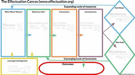 Effectuation Tool