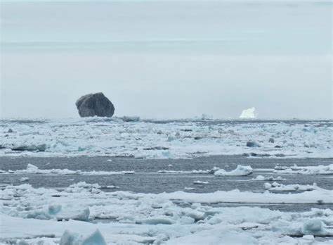Rare black iceberg spotted off Labrador coast could be 100k years old