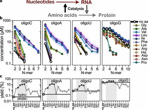 Amino acids as catalysts in the emergence of RNA