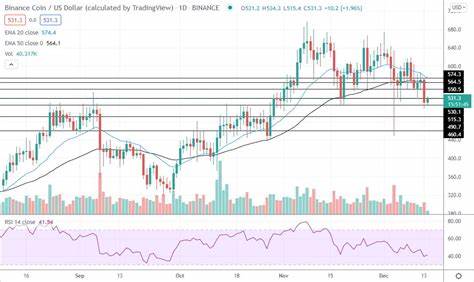 Binance Coin (BNB) Tries To Rebound, Will It Move To $550?