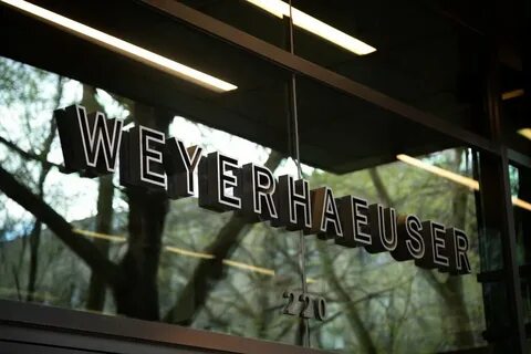 If You Invested $10K In Weyerhaeuser Stock 10 Years Ago, How Much Would You Have Now?