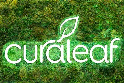 Why Curaleaf Holdings Stock Rocketed Almost 20% Higher Today