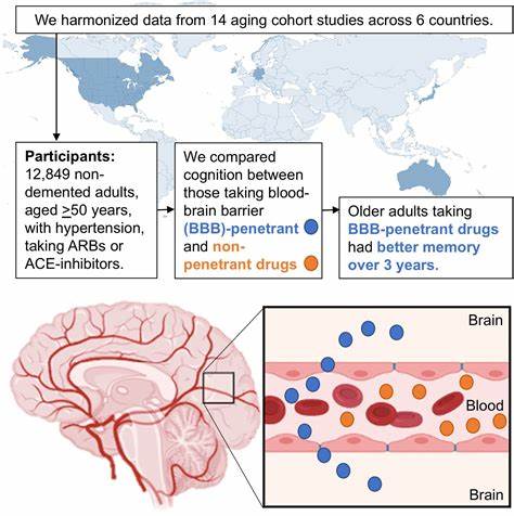 Brain drugs can now cross the once impenetrable blood–brain barrier