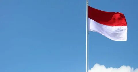 Die indonesische Rohstoffregulierungsbehörde Bappebti bildet einen Ausschuss zur Überwachung der Kryptoindustrie – CoinDesk
