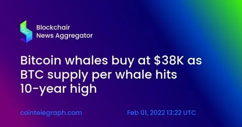 Bitcoin crosses $60K as whales pile on – Will BTC reach $70K again? - AMBCrypto News