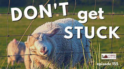 Dont get stuck in compliance says no mode
