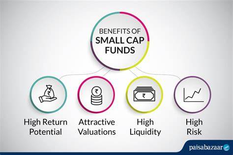 3 Small-Cap Stocks—and 2 Funds—That Offer Solid Dividends