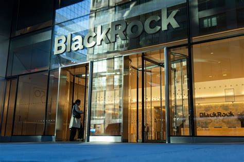 BlackRock taps Anchorage Digital for digital asset custody