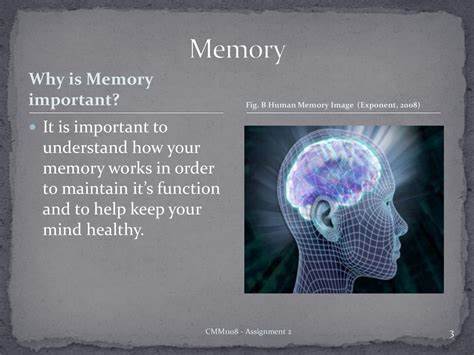 The Most Important Memory Is Still the One Inside Your Head