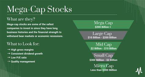 Is Sea Limited (SE) One of the Best Performing Large Cap Stocks So Far in 2025?