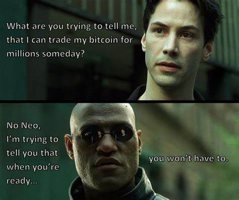 Die 11 besten Bitcoin-Memes – CoinDesk
