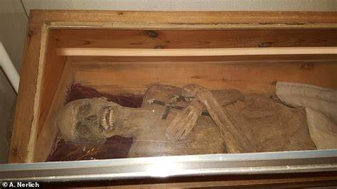 Mummy mystery solved: 'air-dried' priest was embalmed via rectum