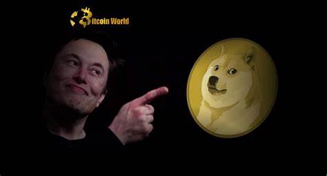Santiment Suggests Low DOGE Social Activity May Present Opportunity - Binance