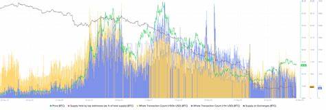 How much Bitcoin does the average whale hold?