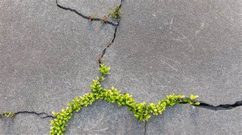 Cracking the Code: Deciphering How Concrete Can Heal Itself