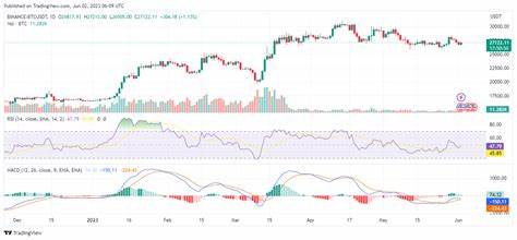 Will new investors and interest rate cuts propel Bitcoin higher?
