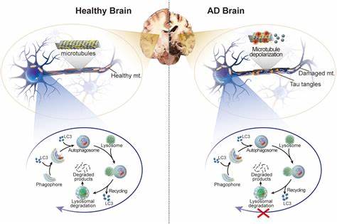 Brain Reset: One Molecular Switch Could Silence Alzheimer's and Parkinson's