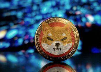Behind The Scenes Of Shiba Inu 12% Plunge: What On-Chain Analysis Tells Us - NewsBTC