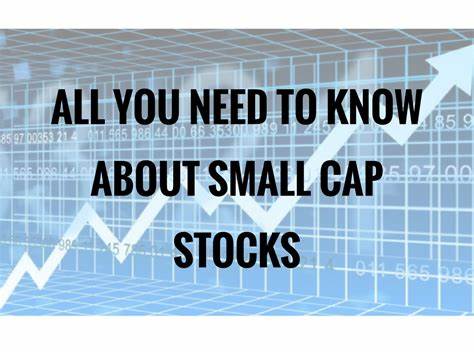 What Are Small-Cap Stocks And Should You Invest In These?