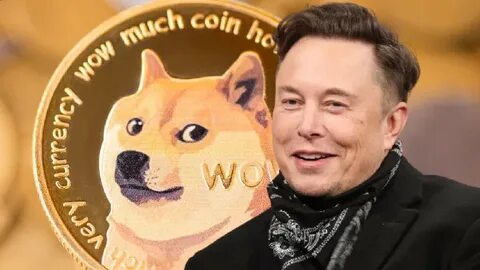Dogecoin: Elon Musk loves it and bitcoin. How to stay safe with crypto - USA TODAY