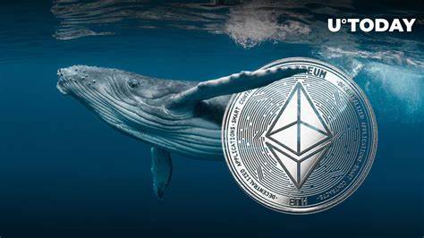 Ethereum Whales Remain Divided – What Lies Ahead for ETH Investors?
