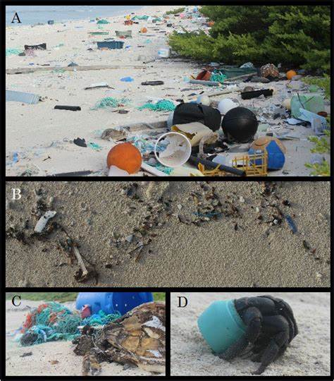 Rapid accumulation of [trash] on most pristine islands (2017)