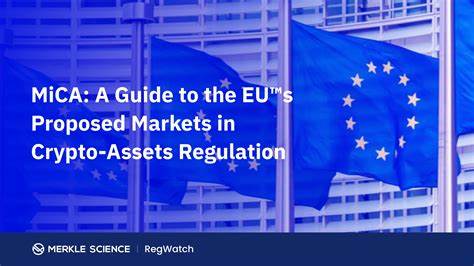 Is the Future of Cryptocurrency in the EU Doomed? A Comprehensive Explanation of the New MiCA Regulations - DailyCoin