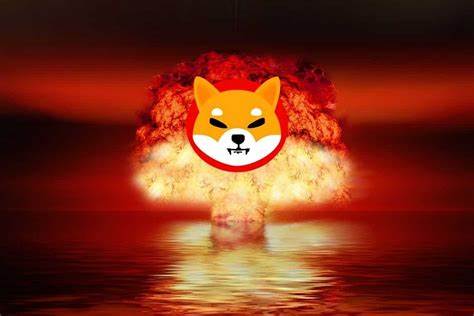 SHIB Token Burns Set to Trigger Price Pump for Shiba Inu, but It's NEIRO and Rexas Finance (RXS) to Lead the Next Bull Run - Crypto Reporter