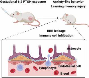 Low Sodium in Blood Triggers Anxiety in Mice by Disrupting Their Brain Chemistry