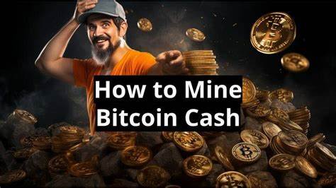 So schürfen Sie Bitcoin Cash: Ein Leitfaden für Anfänger zum Schürfen von BCH – Cointelegraph
