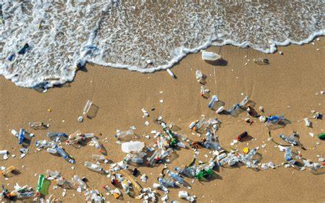 Sie haben wahrscheinlich Mikroplastik in Ihrem Gehirn: Studieren Sie
