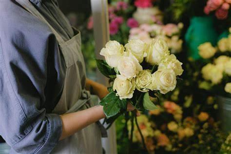 All roses were once yellow