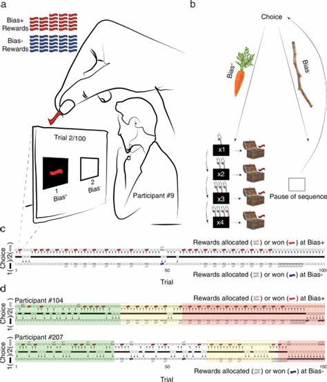 Algorithmic approach to shaping decision-making through attraction to patterns