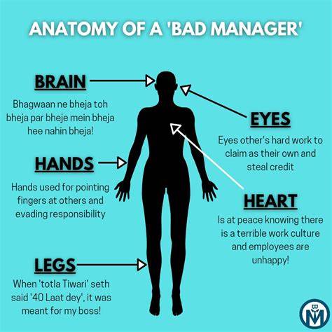 Ask HN: How to Deal with a Bad Manager?