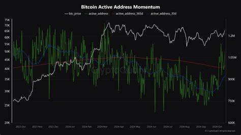 Active Bitcoin addresses surged 30% in late July, data shows