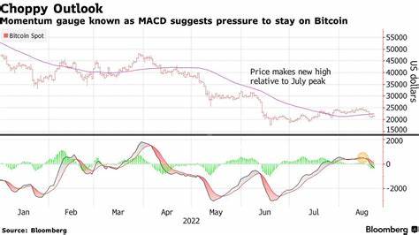 U.S. CPI and Fed Meeting: Things to Watch Out as BTC Nurses Losses - CoinDesk