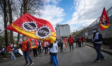 Canadian Grain Terminal Workers Strike, Posing Risk to Exports